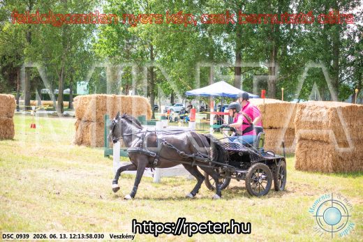 Mintakép 20260613-1673