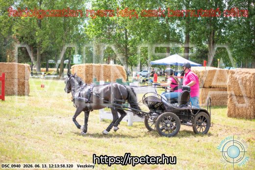 Mintakép 20260613-1674