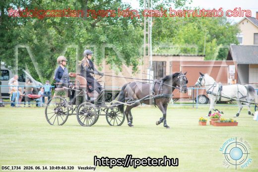 Mintakép 20260614-794