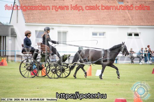 Mintakép 20260614-796