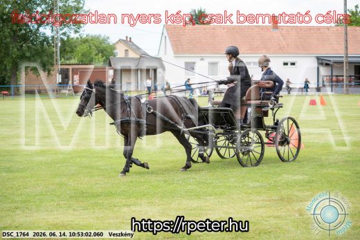 Mintakép 20260614-809