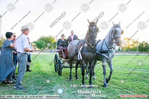 Mintakép 20260822-73