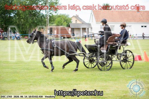 Mintakép 20260614-810