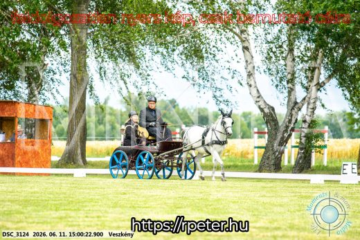 Mintakép 20260611-89
