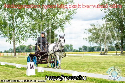 Mintakép 20260611-90