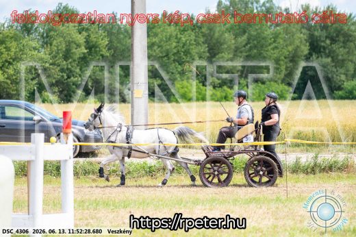 Mintakép 20260613-1675