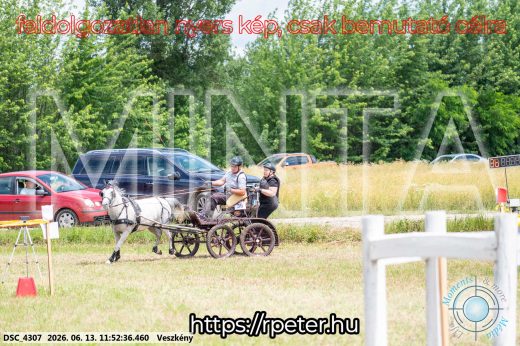 Mintakép 20260613-1676