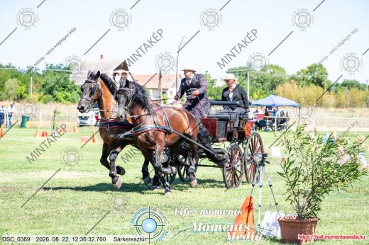Mintakép 20260822-167