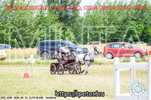 Mintakép 20260613-1678