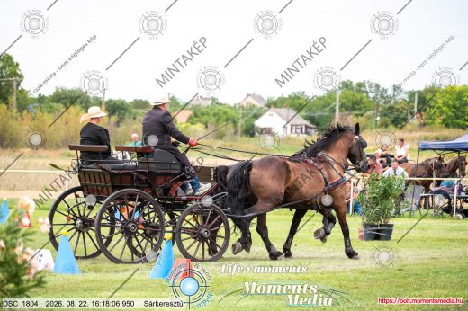Mintakép 20260822-193
