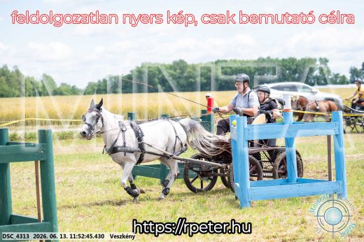 Mintakép 20260613-1681