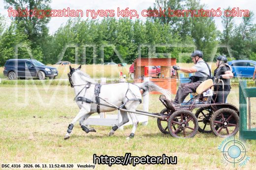 Mintakép 20260613-1684