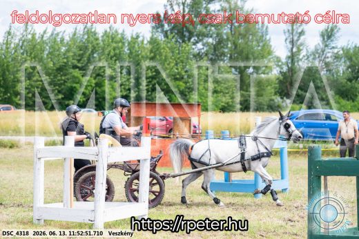 Mintakép 20260613-1686
