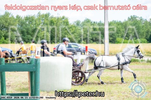 Mintakép 20260613-1687