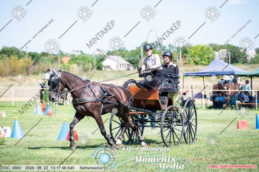 20260822-131746-DSC_0663.jpg