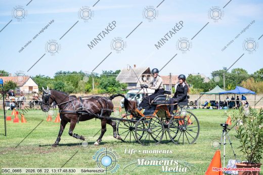 20260822-131748-DSC_0665.jpg