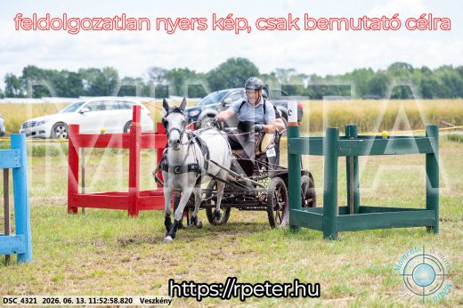 Mintakép 20260613-1689