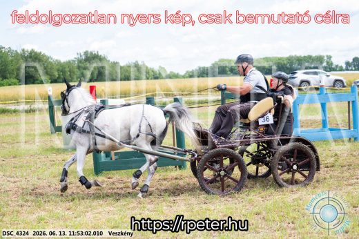 Mintakép 20260613-1692