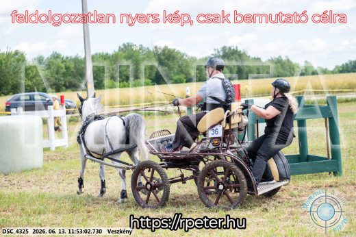 Mintakép 20260613-1693