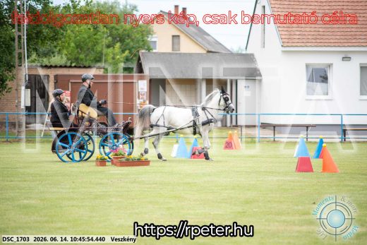Mintakép 20260614-812