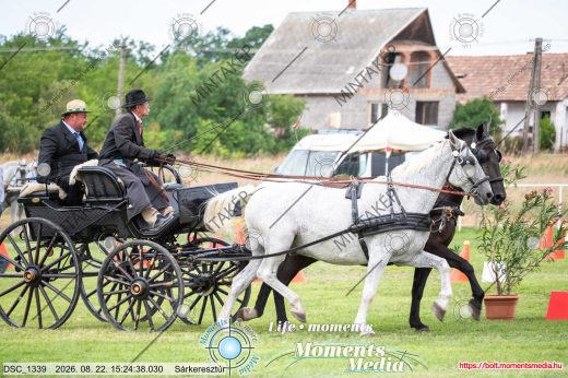 Mintakép 20260822-350