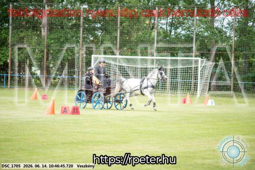 Mintakép 20260614-815