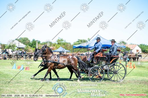 Mintakép 20260822-402