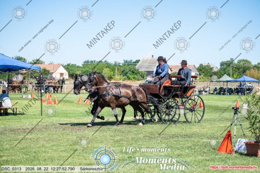 Mintakép 20260822-413