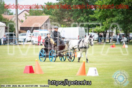 Mintakép 20260614-819