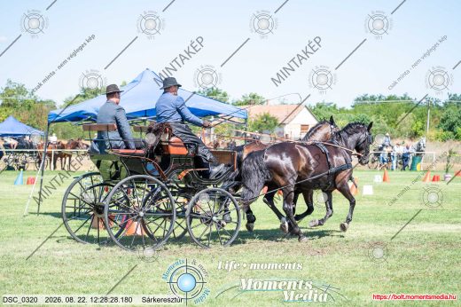 Mintakép 20260822-416