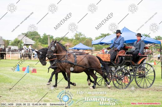 Mintakép 20260822-425
