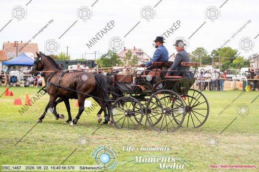 Mintakép 20260822-432