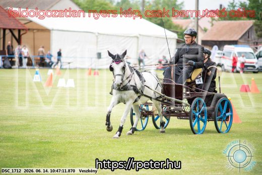 Mintakép 20260614-822