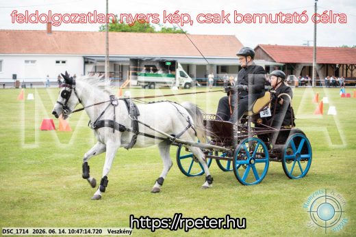 Mintakép 20260614-823