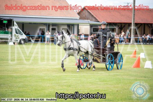 Mintakép 20260614-830