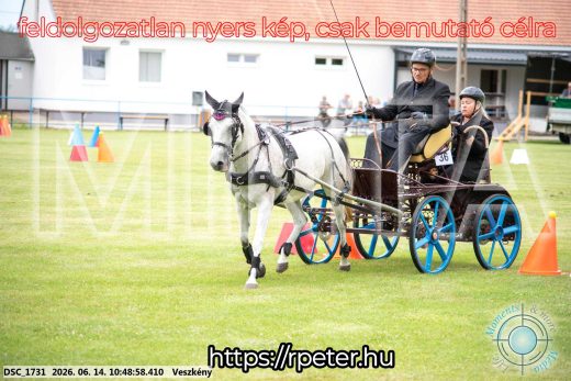 Mintakép 20260614-831