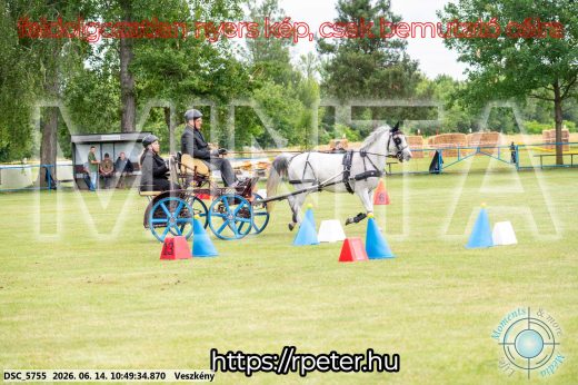 Mintakép 20260614-833