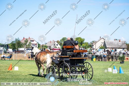 Mintakép 20260822-579