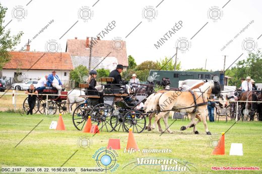 Mintakép 20260822-582
