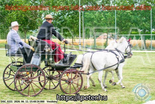 Mintakép 20260611-95