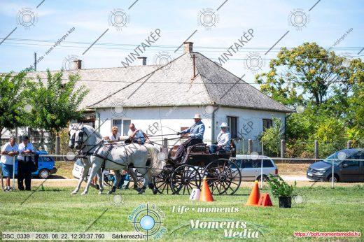 Mintakép 20260822-633
