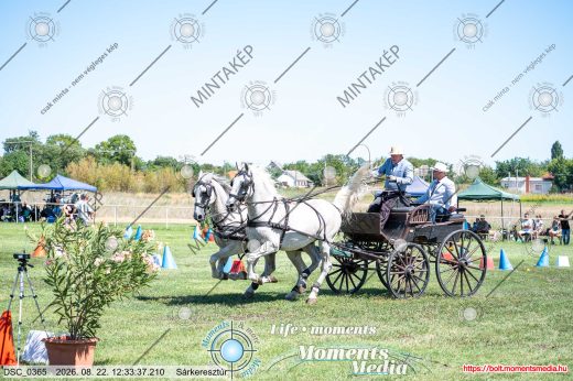 Mintakép 20260822-649