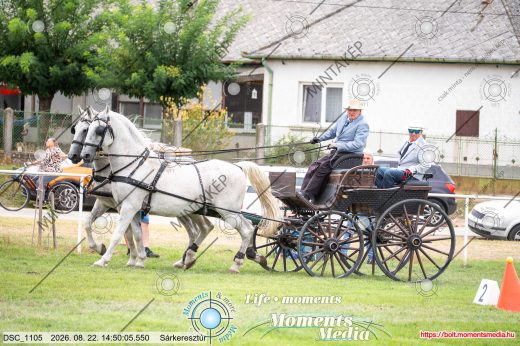 Mintakép 20260822-653