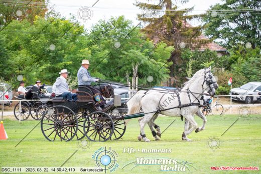 Mintakép 20260822-657
