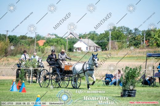 20260822-132216-DSC_0703.jpg