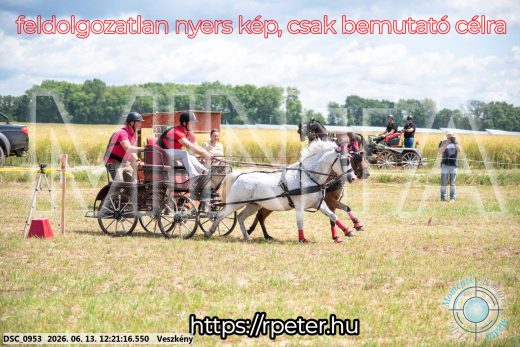 Mintakép 20260613-1695