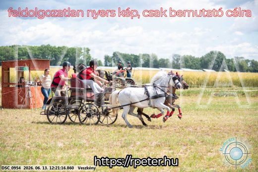 Mintakép 20260613-1696