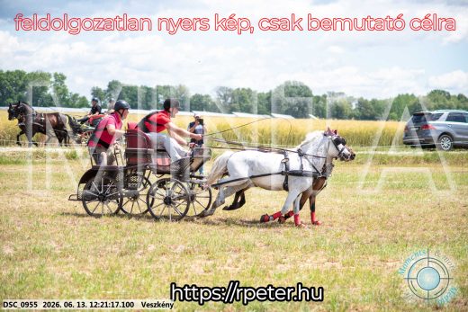 Mintakép 20260613-1697