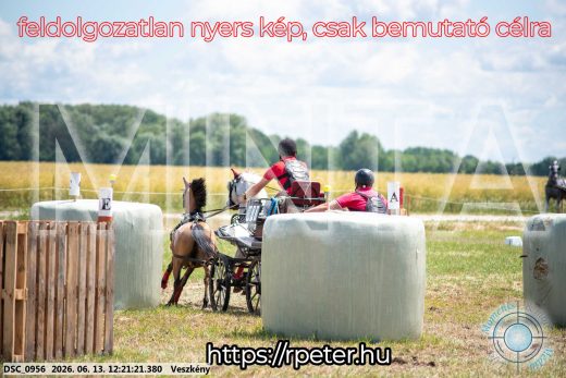 Mintakép 20260613-1698