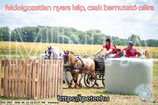 Mintakép 20260613-1699